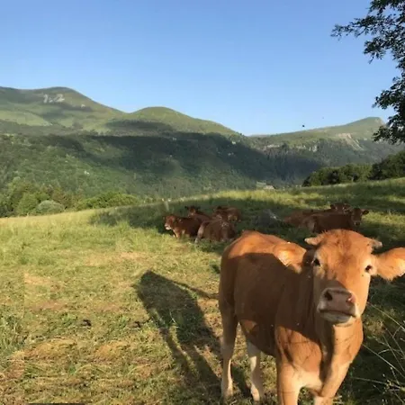 Appart. T2 Bis Avec Wifi - Fr-1-608-246 Διαμέρισμα *