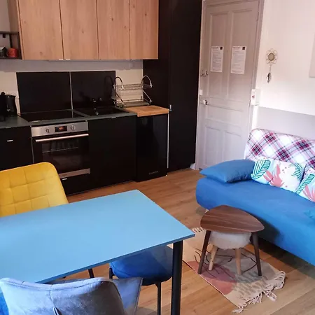 Appart. T2 Bis Avec Wifi - Fr-1-608-246 Le Mont-Dore