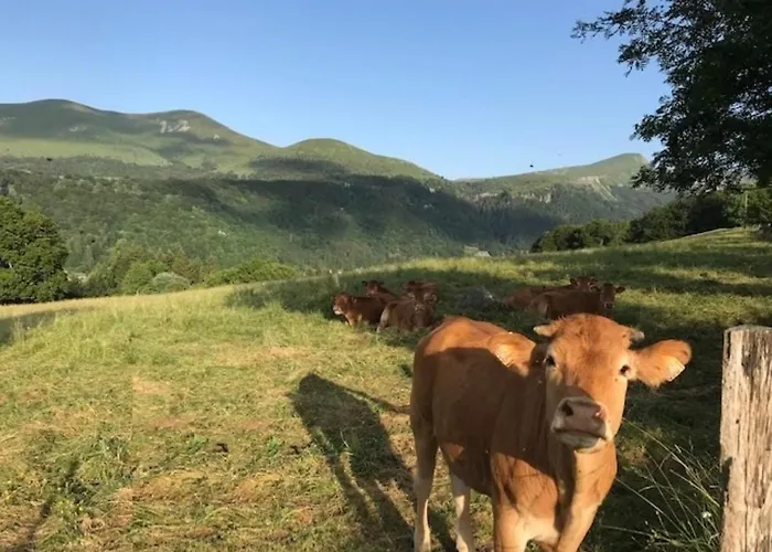 Appart. T2 Bis Avec Wifi - Fr-1-608-246 Apartment *